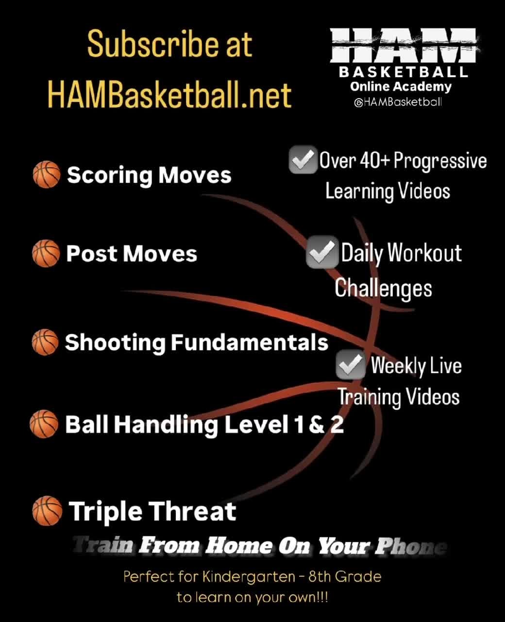 HAM Online Academy Flyer Video