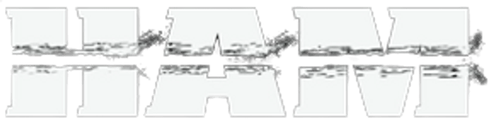 HAM Basketball Logo